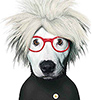 Benutzeravatar